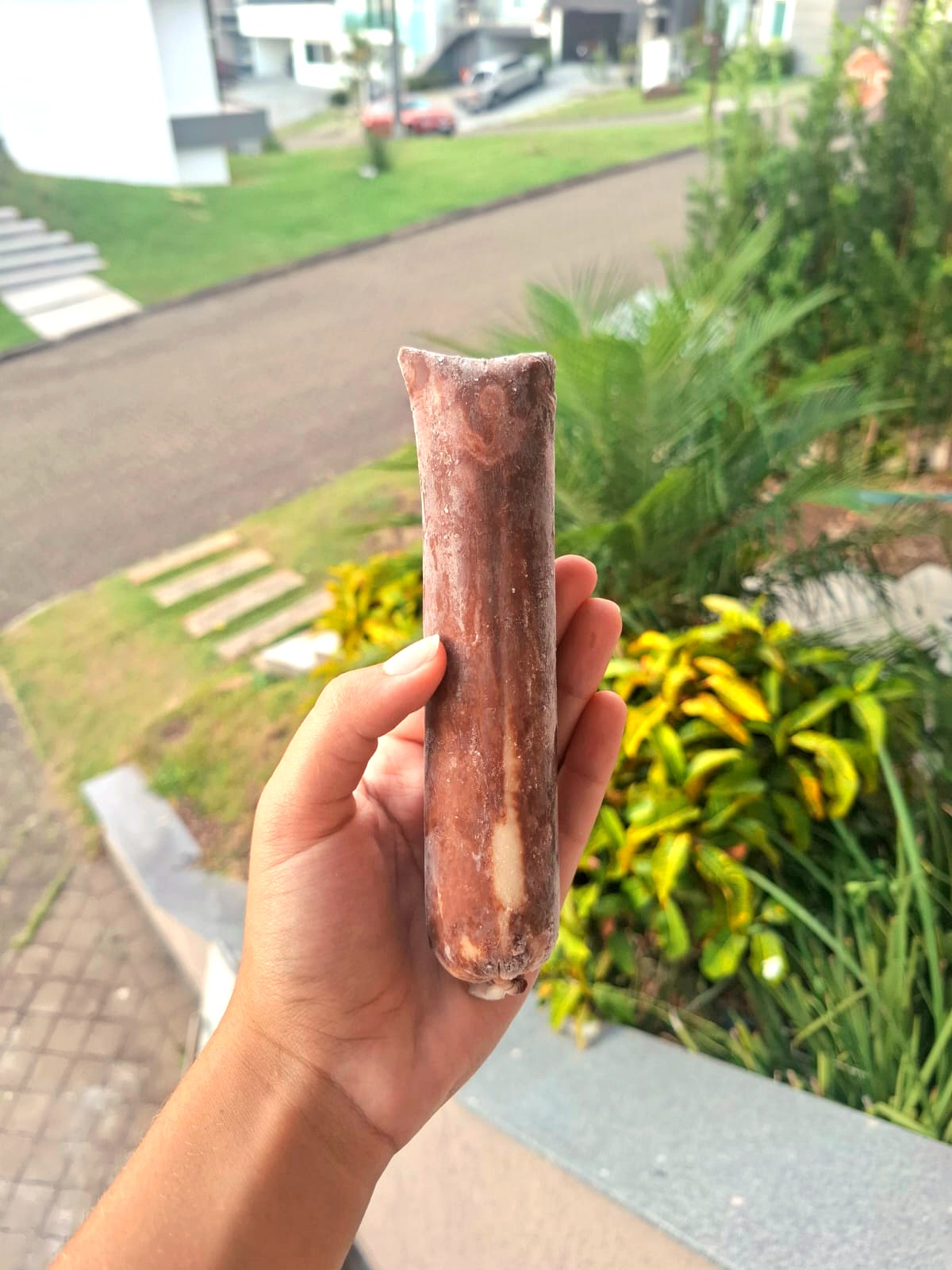 Abraço do Tamanduá