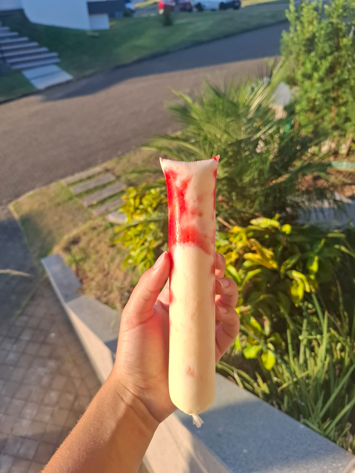 Tentação Silvestre